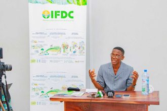 phosphate agriculture en Afrique