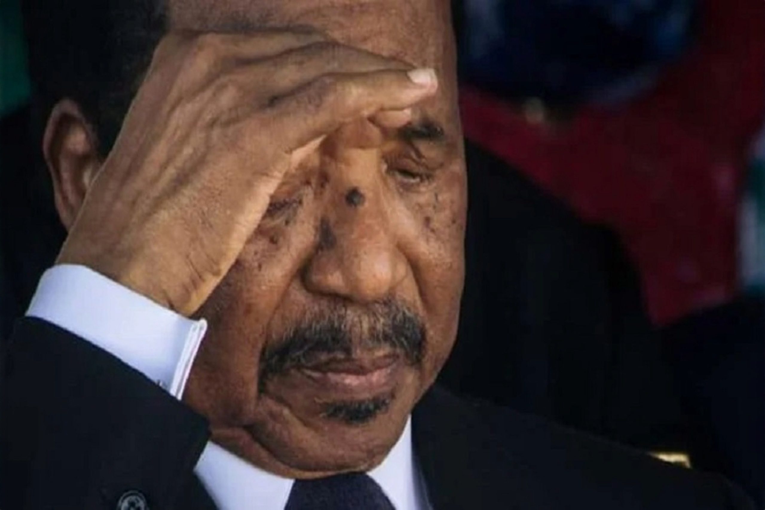 Cameroun : la vice-présidence, clé de la succession de Paul Biya ? - La ...